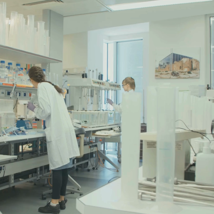 Investigación cientifica