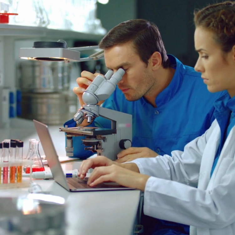 Microscopia confocal